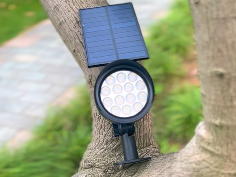It Eats Sunlight to Glow at Night