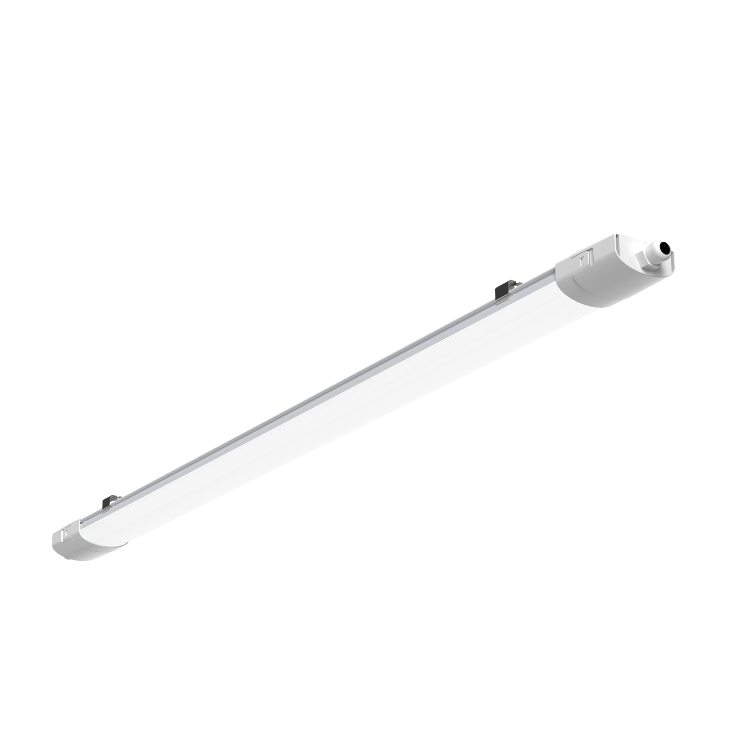 image_led_shoplight_tplc