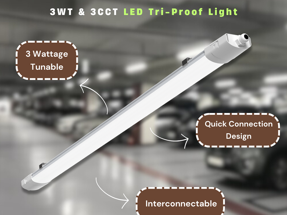 Our New LED Tri-Proof Light