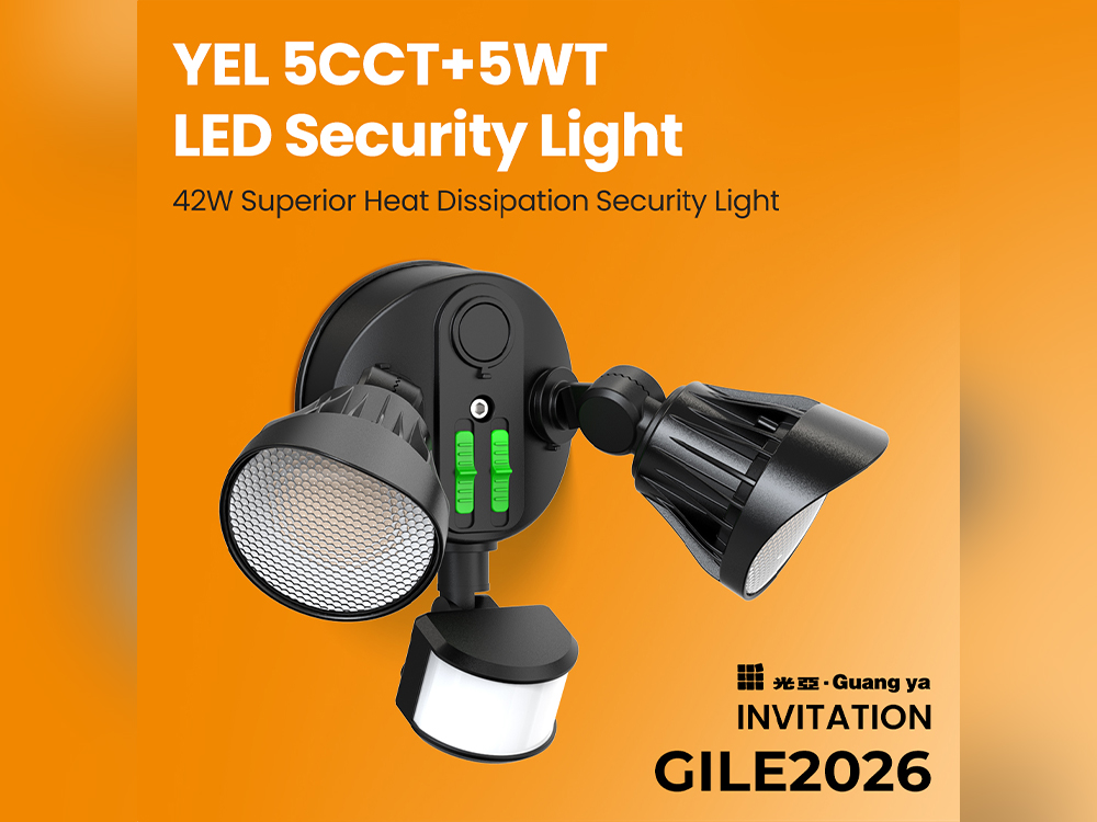 Not Just Another Security Light